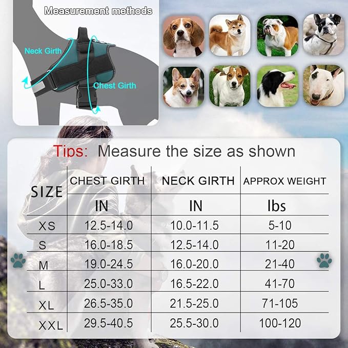 Bolux Dog Harness, No-Pull Reflective Dog Vest, Breathable Adjustable Pet Harness with Handle for Outdoor Walking - No More Pulling, Tugging or Choking (Turquoise, M)