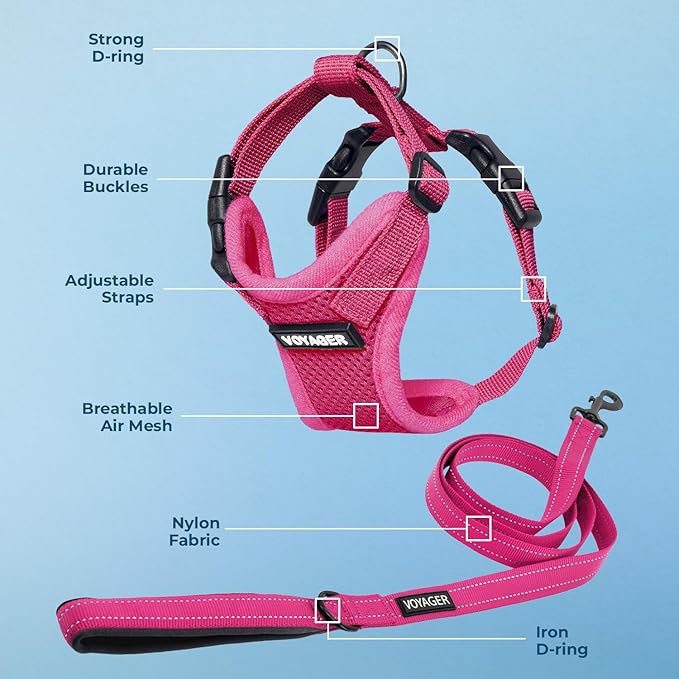 Voyager Step-in Lock Dog Harness w Reflective Dog Leash Combo Set with Neoprene Handle 5ft - Supports Small, Medium and Large Breed Puppies/Cats by Best Pet Supplies - Fuchsia, XS