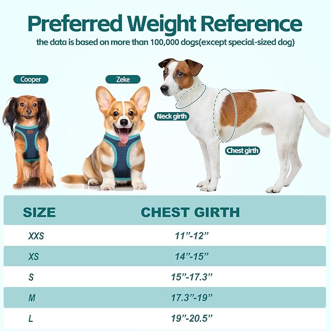 Dog Harness with Multifunction Dog Leash,No Pull Reflective Step-in Harness for Soft Adjustable No Choke Escape Proof,Easy Walk Dog Harness for Small Dogs (Blue&Green, S)