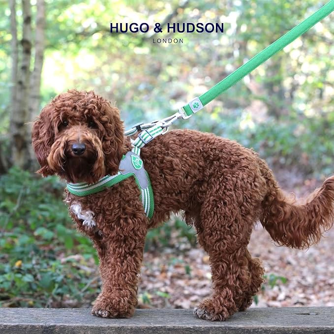 HUGO & HUDSON Easy Walk Dog Harness, Adjustable Quick Dry No-Pull Pet Harness, Green, Size 2