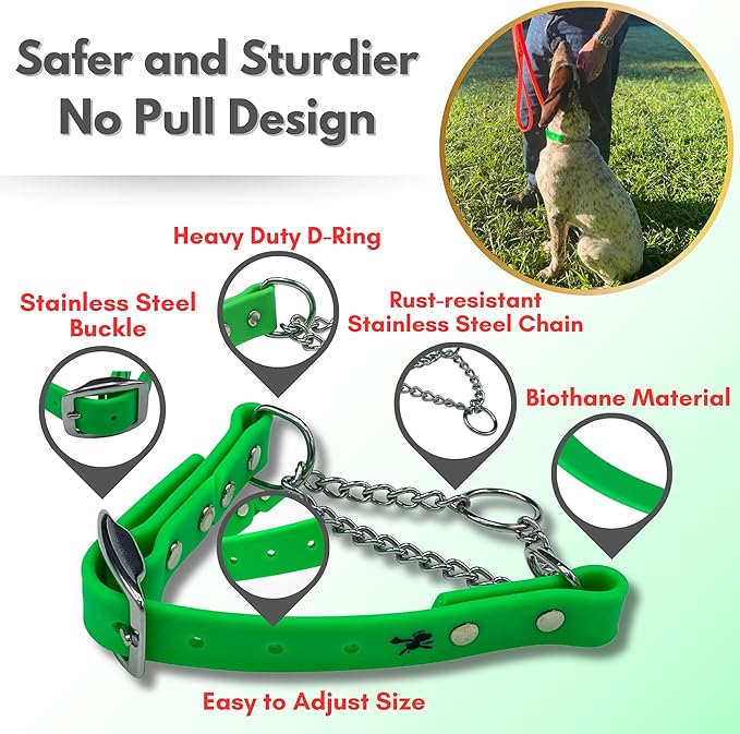 Martingale Collar for Dogs, Biothane, Stainless Steel Hardware, No Pull, Made in The USA, Professional Grade, Small, Green