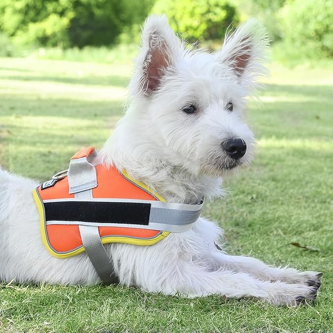 Bolux Dog Harness, No-Pull Reflective Dog Vest, Breathable Adjustable Pet Harness with Handle for Outdoor Walking - No More Pulling, Tugging or Choking (X-Small (Pack of 1), Orange Yellow)