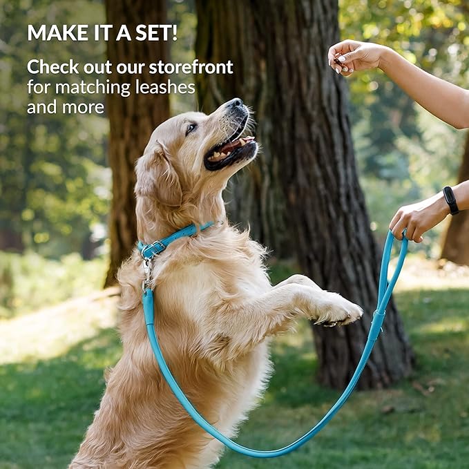 CollarDirect Rolled Leather Dog Collar, Soft Padded Round Puppy Collar, Handmade Genuine Leather Collar Dog Small Large Cat Collars 13 Colors (9-12 Inch, Blue Smooth)