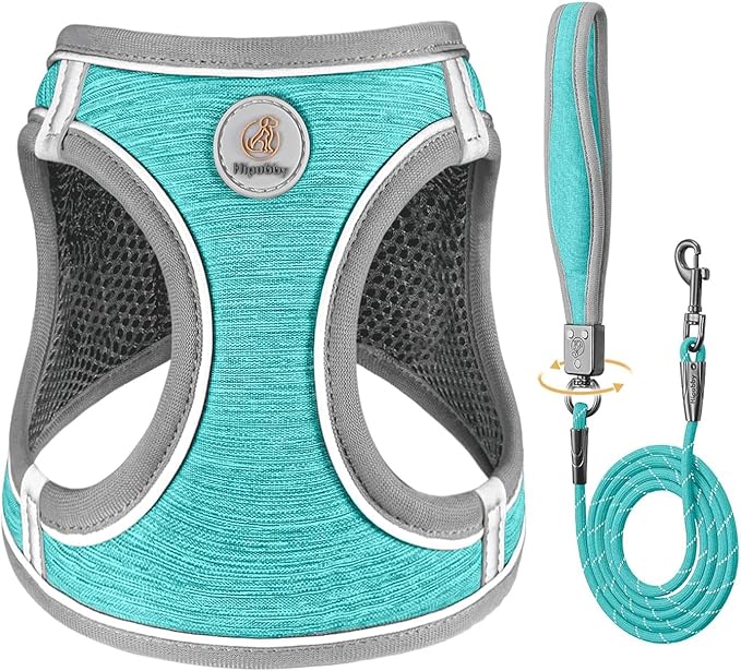 Dog Harness with Leash Set, Adjustable Soft Mesh Padded Reflective Dog Harnesse, Dog Leash with Soft Padded Handle, Puppy Harness and Leash Set for Walking,Training - Blue, XS