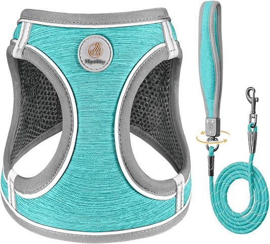 Dog Harness with Leash Set, Adjustable Soft Mesh Padded Reflective Dog Harnesse, Dog Leash with Soft Padded Handle, Puppy Harness and Leash Set for Walking,Training - Blue, XXS