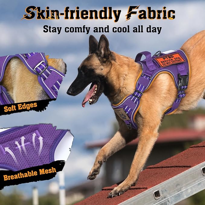 rabbitgoo Dog Harness Medium Sized No Pull, Tactical Service Dog Vest with Molle and Control Handle, Adjustable and Reflective Military Pet Harness for Easy Walking and Training, Purple, M