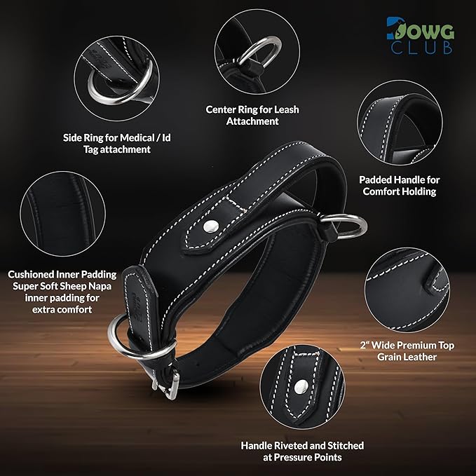 Leather Dog Collar with Handle, 2 Inch Wide Saddle Grade Black Leather Dog Collar for Large Dogs | Heavy Duty, Comfortable, Inner Soft Padded, Strong | (L (Fit Neck Size 18.5"-22.5"), Black)