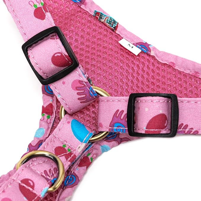 Angie and Allie Organic Cotton Dog Harness,No Pull Pet Harness with Leash D-Ring,Adjustable Soft Padded Dog Vest,Comfortable,Sustainable,Breathable and Stylish for Your Canine Companion