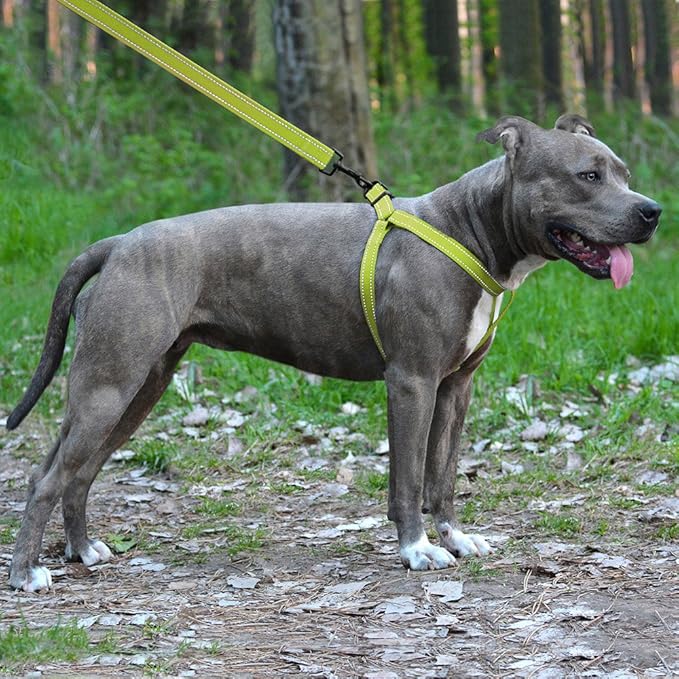 CollarDirect Reflective Dog Harness Step in Small Medium Large for Outdoor Walking, Comfort Adjustable Harnesses for Dogs Puppy Pink Black Red Purple Mint Green Orange Blue (Medium, Lime Green)