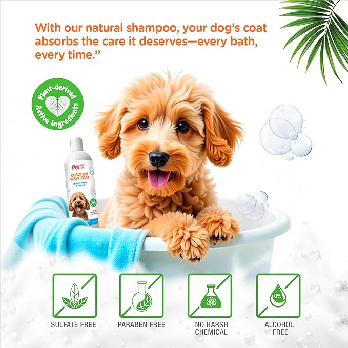 Natural Dog Shampoo for Curly & Wavy Coats – Hydrating & Tangle-Reducing Wash with Argan, Coconut & Jojoba Oils – Deodorizing for Poodles, Goldendoodles & Cocker Spaniels – 16 oz