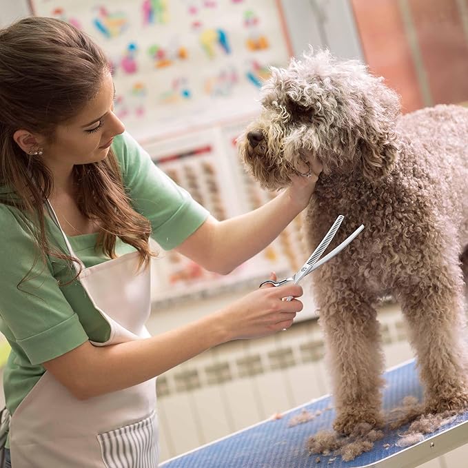 7" Upward Curved Dog Chunker Thinning Scissors Silver Dog Grooming Scissors Professional Blending Texturizing Trimming Shears for Dog Cat Pet Japanese Stainless