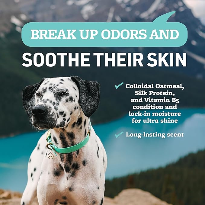 Veterinary Formula Smart Coat Complex Soothing and Deodorizing Oatmeal Shampoo for Dogs, 128 Fl oz – Baking Soda Eliminates Odors, Aloe Vera & Oatmeal Cleanse and Hydrate Skin – Long-Lasting Fragrance