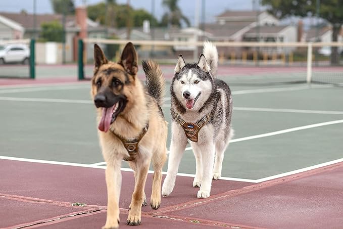 Auroth Tactical Dog Harness for Small Medium Large Dogs No Pull Adjustable Pet Harness Reflective K9 Working Training Easy Control Pet Vest Military Service Dog Harnesses XL Grey Camo