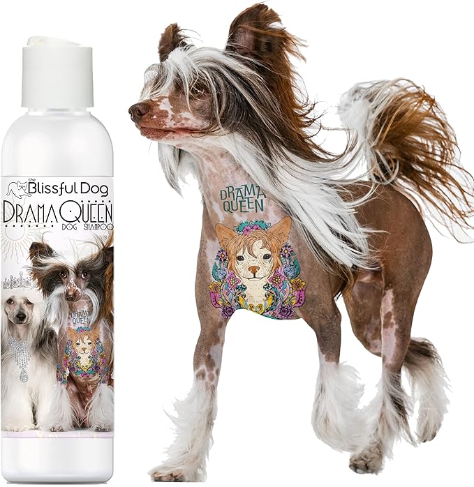 The Blissful Dog Chinese Crested Drama Queen Dog Shampoo, 8 oz.