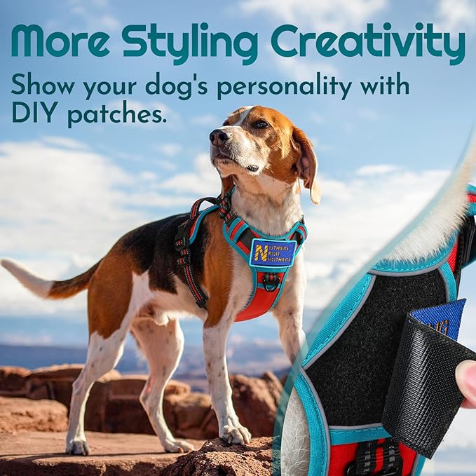 Eagloo Dog Harness Medium Sized, Easy Wearing with 3 Buckles, Adjustable No Pull Pet Harness with 2 Rings for Walking, No Chock Reflective Soft Padded Vest with Control Handle, Red & Teal, M