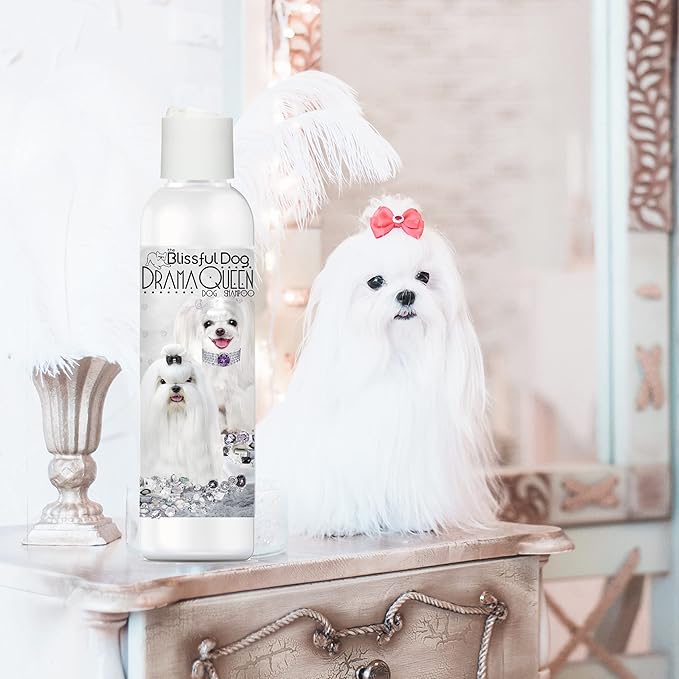 The Blissful Dog Maltese Drama Queen Dog Shampoo, 16 oz.
