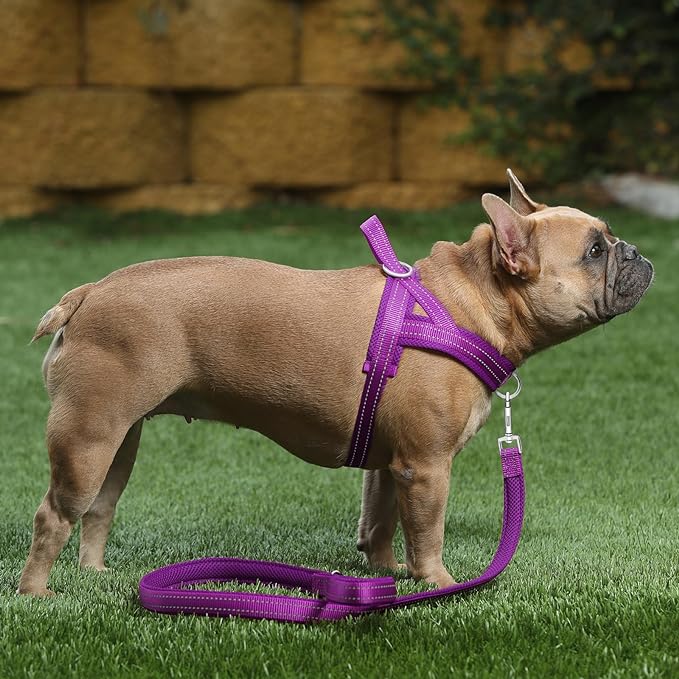 Plutus Pet No Pull Dog Harness with Breathable Mesh Padded, Adjustable Reflective Escape Proof Dog Harness, Quick Fit Dog Vest Harness for Small Medium Large Dogs(XS, Purple)