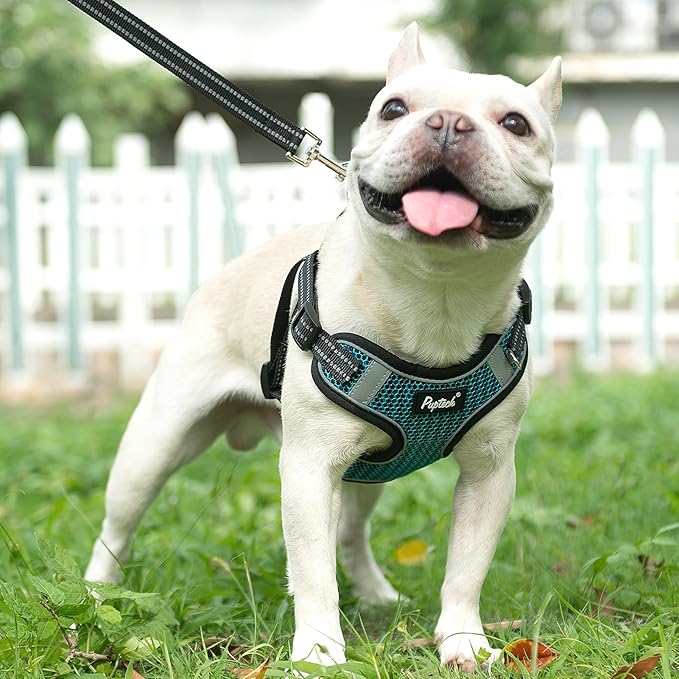 PUPTECK No Pull Dog Harness and Leash Set Reflective No Choke Step in Puppy Halter for XS Small and Medium Sized Dogs, Turquoise, Breathable Mesh, M