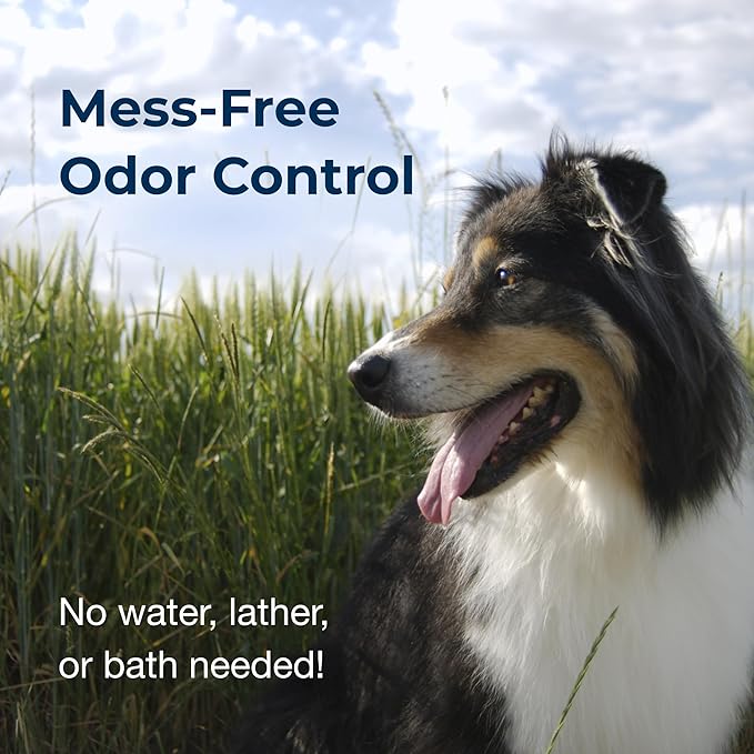 PetAg Fresh ’n Clean Cologne Spray - Floral Scent - 12 oz - Controls Odor & Keeps Dogs Smelling Fresh