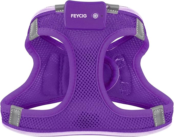 Light Up Dog Harness,LED Dog Harness Rechargeable, Lighted Dog Vest Harness for Night Walking,Reflective Safety Vest for Small Medium Large Dogs,Adjustable Soft Mesh,Purple,XS