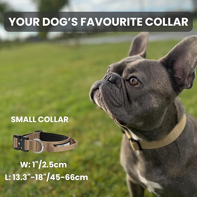 BULLYBREED Premium Dog Colar with Handle, Heavy Duty Dog Collar, Tactical Dog Collar, Quick-Release Metal Buckle, Puppy Collar, Dog Collar for Small Dogs, Dog Collar for Medium Dogs (Black, Small)
