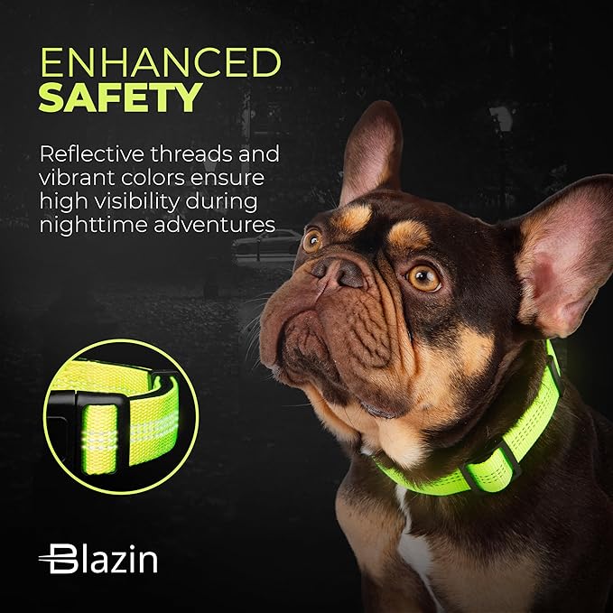 BLAZIN 'Color Me Happy!' Reflective Dog Collar for Day and Night - Adjustable Soft Neoprene Padded Dog Collar in 4 Vibrant Colors - Keeps Dogs Safe and Stylish - for Every Day Use (Large, Blue)