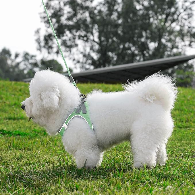 Dog Harness with Leash Set, Adjustable Soft Mesh Padded Reflective Dog Harnesse, Dog Leash with Soft Padded Handle, Puppy Harness and Leash Set for Walking,Training - Green, XS