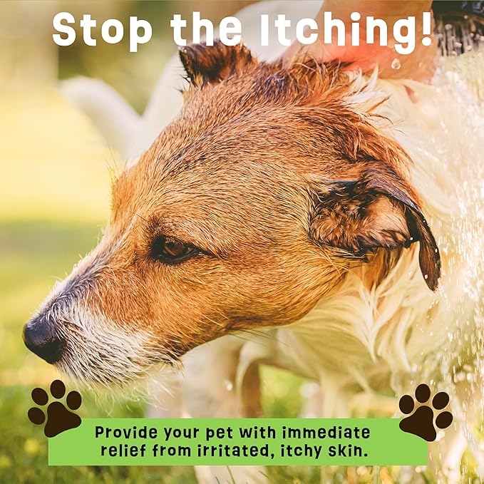 Dogs Plus Vitamin C Dog Shampoo | All Natural Dermatitis, Demodex Mange, & Hot Spot Treatment for Dogs | Fast and Effective Itch Relief (6 oz)