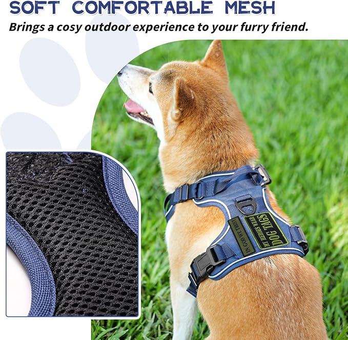 Dog Harness, No Pull Pet Harness No-Choke with 2 Metal Rings 3 Buckles Reflective Adjustable Soft Padded Pet Vest with Easy Control Handle for Small Medium Large Dogs (Small, Blue)