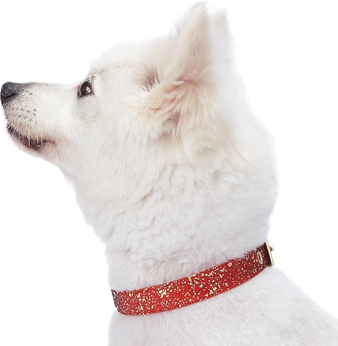 Blueberry Pet 4 Colors Glam Life Gold Stamping Lace Adjustable Dog Collar in True Red, Neck 9-12.5", for Small Breed