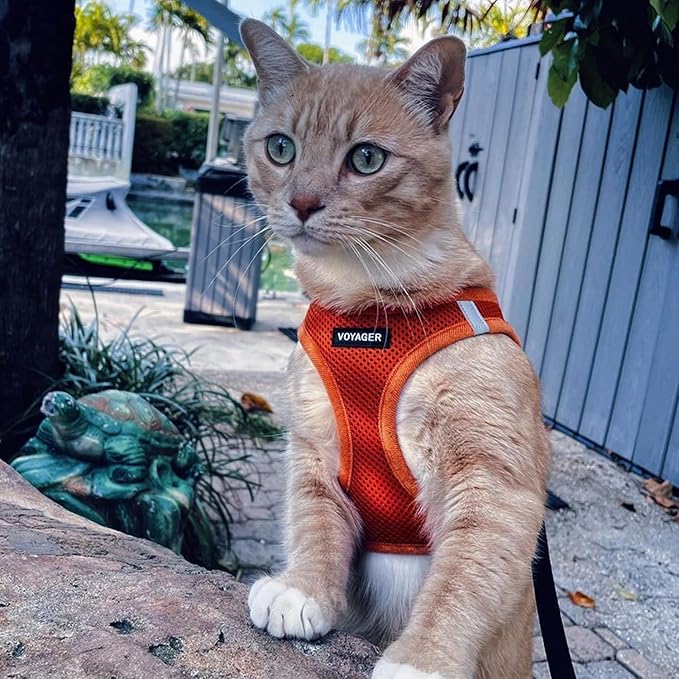 Voyager Step-In Air Dog Harness - All Weather Mesh, Reflective, No Pull Harness for Small, Medium Dogs, Cats - Secure with Hook & Loop Fastener, Buckle, Double D-Rings - Orange, XXXS