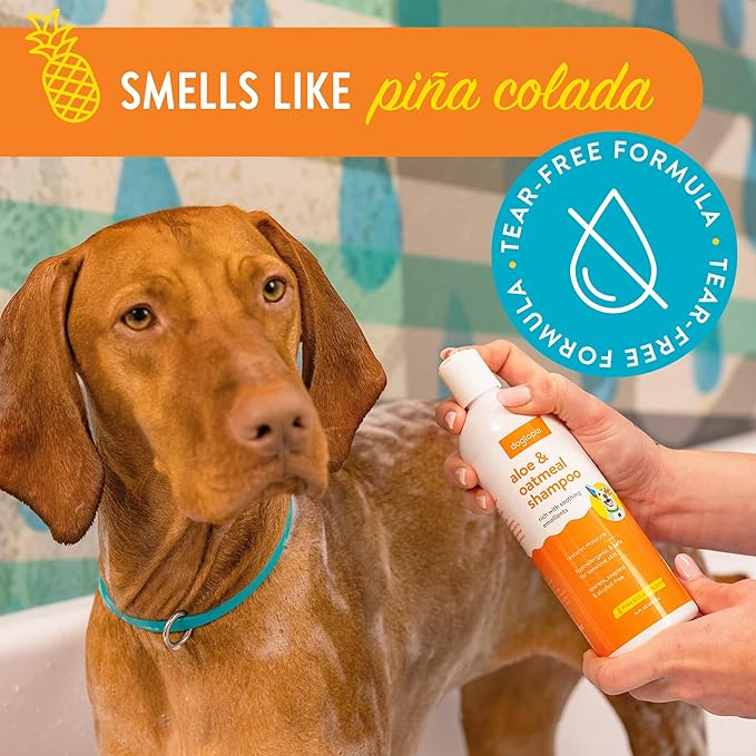 Everyday Aloe & Oatmeal Shampoo – Piña Colada Scent (16oz) | Nourishing Shampoo for Dogs and Cats Rich with Soothing Emollients | Alcohol-Free, Soapless & Tearless