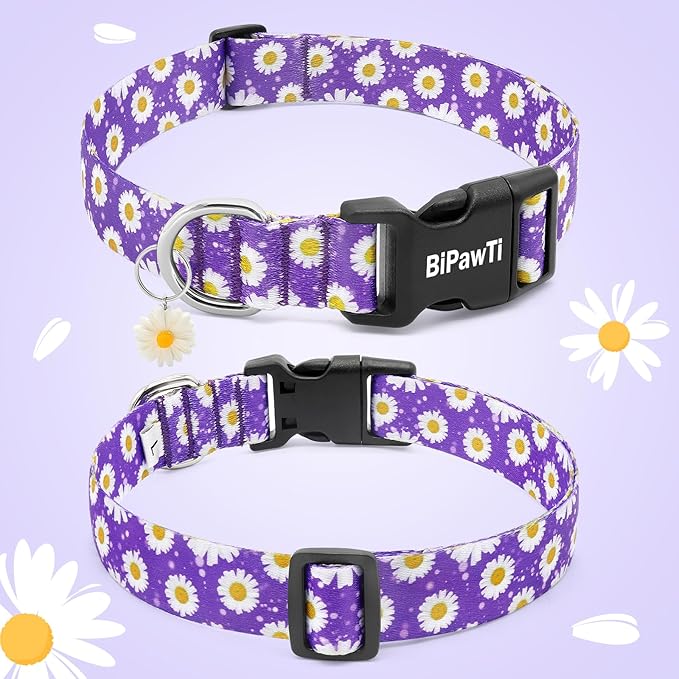 BiPawTi Floral Dog Collars for Large Dog - Soft Cute Dog Collars for Girls Dog Pretty Flower Collar with Daisies Charms, Gift for Female Male Boys Girls Dogs (XL, Purple)