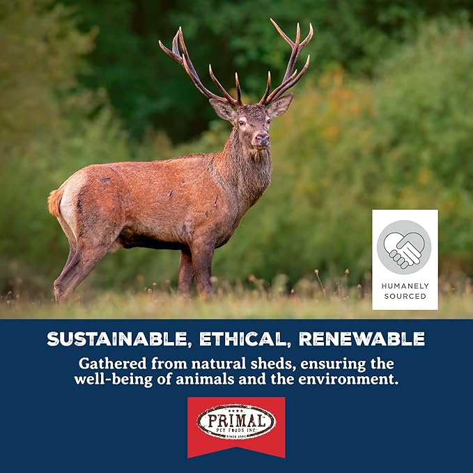 Primal Antlers for Dogs - Grade A Split Stag Antlers for Large Dogs 45-60 lb - Natural Dog Chews for Aggressive Chewers - Naturally Shed Antlers - Long Lasting Dog Bones - 1 ct