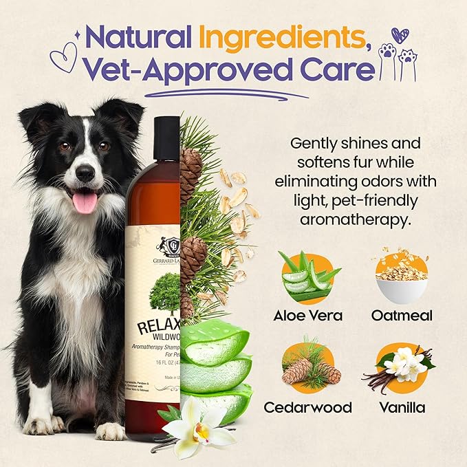 Dog Shampoo and Conditioner Relaxing Wildwoods 16 Fl Oz - Dog Shampoo Itchy Skin Relief, Aromatherapy Natural Dog Shampoo for Smelly Dogs with Aloe Vera & Oatmeal Shampoo for Dogs by Gerrard Larriett