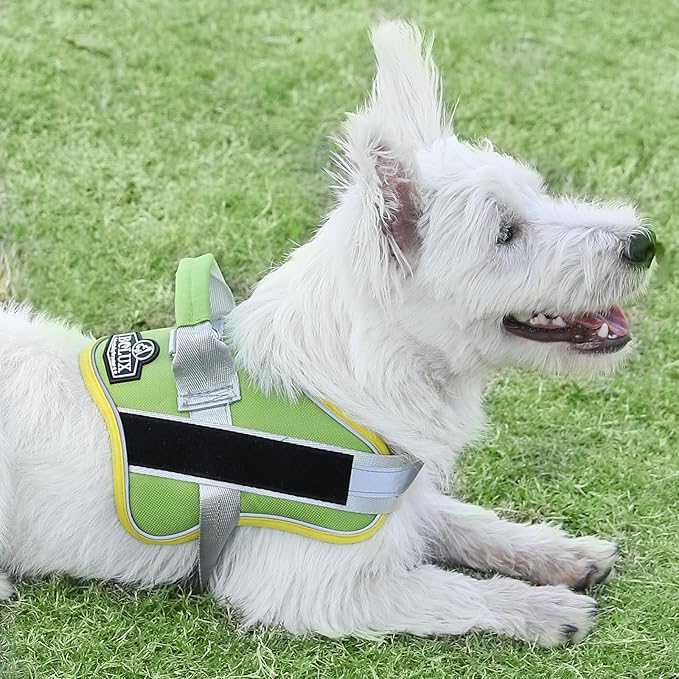 Bolux Dog Harness, No-Pull Reflective Dog Vest, Breathable Adjustable Pet Harness with Handle for Outdoor Walking - No More Pulling, Tugging or Choking (XX-Large (Pack of 1), GreenYellow)