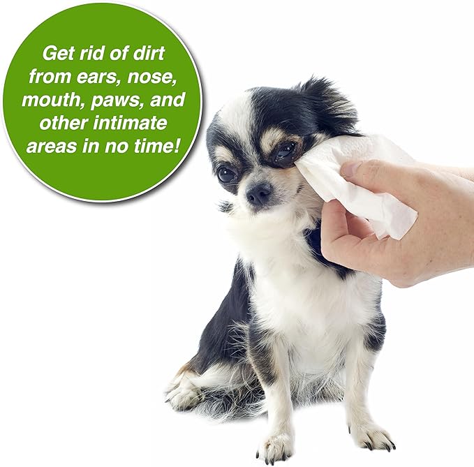 Pure and Natural Pet Grooming and Cleansing Dog Wipes (Lavender and Rosemary) 100 ct