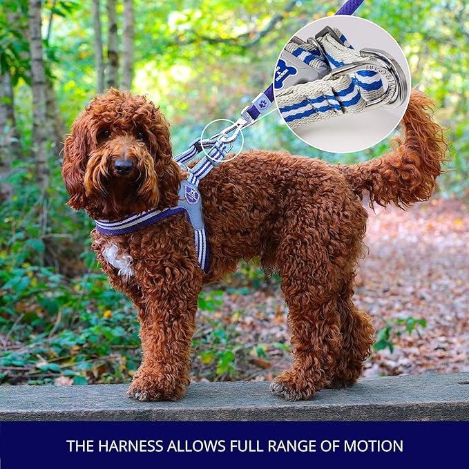 HUGO & HUDSON Easy Walk Dog Harness, Adjustable Quick Dry No-Pull Pet Harness, Royal Blue, Size 2