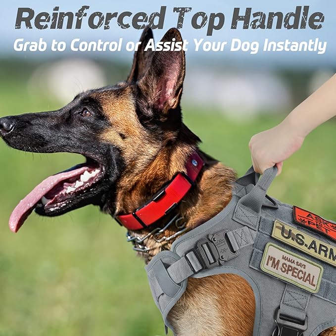 rabbitgoo Tactical Dog Harness for Large Dogs, Heavy Duty Dog Harness with Handle, No-Pull Service Dog Vest Large Breed, Adjustable Military Dog Vest Harness for Training Hunting Walking, Grey, XL