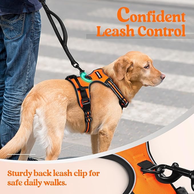 rabbitgoo Dog Harness, No-Pull Pet Harness with 2 Leash Clips, Adjustable Soft Padded Dog Vest, Reflective No-Choke Pet Oxford Vest with Easy Control Handle for Large Dogs, Orange, XL