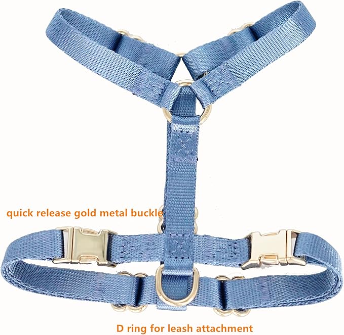 Nylon No Pull Dog Harness with Gold Metal Buckles,Easy Walking and Training Dog Harness (Air Blue, L)