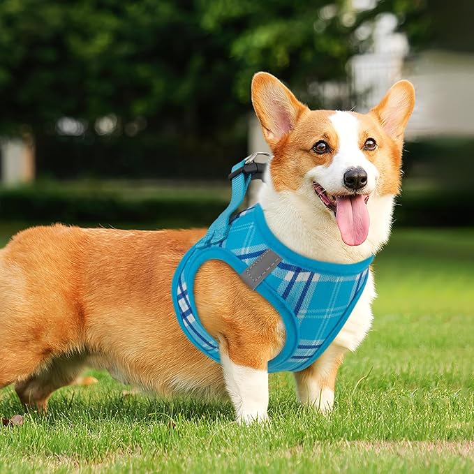 Athena Collection Step-in Dog Harness with 5 ft Leash, Small to Medium Dog Harness Leash Set Medium No Pull Dog Vest Harness with Reflective Strips Adjustable Velcro, Easy Walk Puppy Harness, Blue