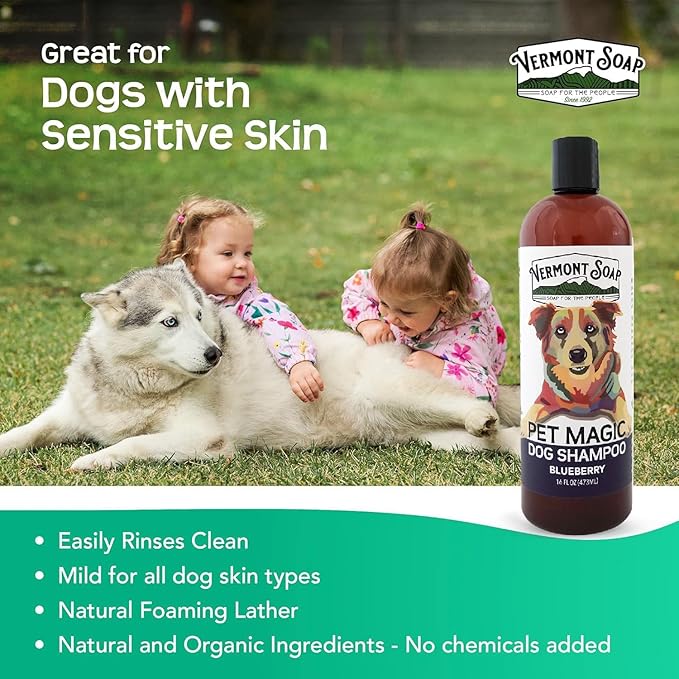VERMONT SOAP Organics Pet Shampoo - Infused with Organic & Natural Olive Oil, Coconut & Aloe Vera Dog Shampoo for Sensitive Skin - USDA Certified Grooming Pet Shampoo (16oz)
