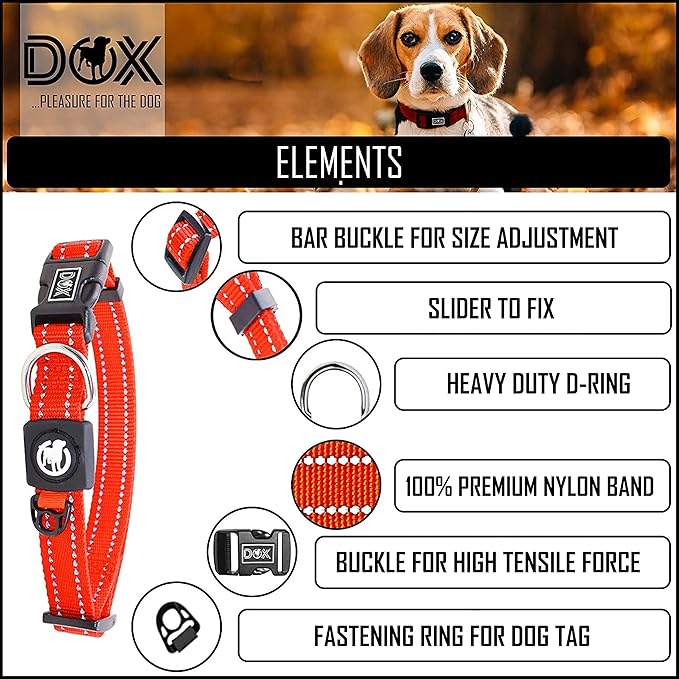 DDOXX Reflective Nylon Dog Collar - Strong and Adjustable Collars Dogs - L (Orange)