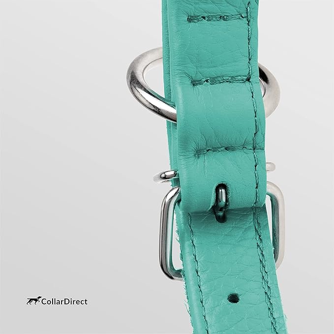 CollarDirect Rolled Leather Dog Collar, Soft Padded Round Puppy Collar, Handmade Genuine Leather Collar Dog Small Large Cat Collars 13 Colors (18-22 Inch, Mint Green Textured)