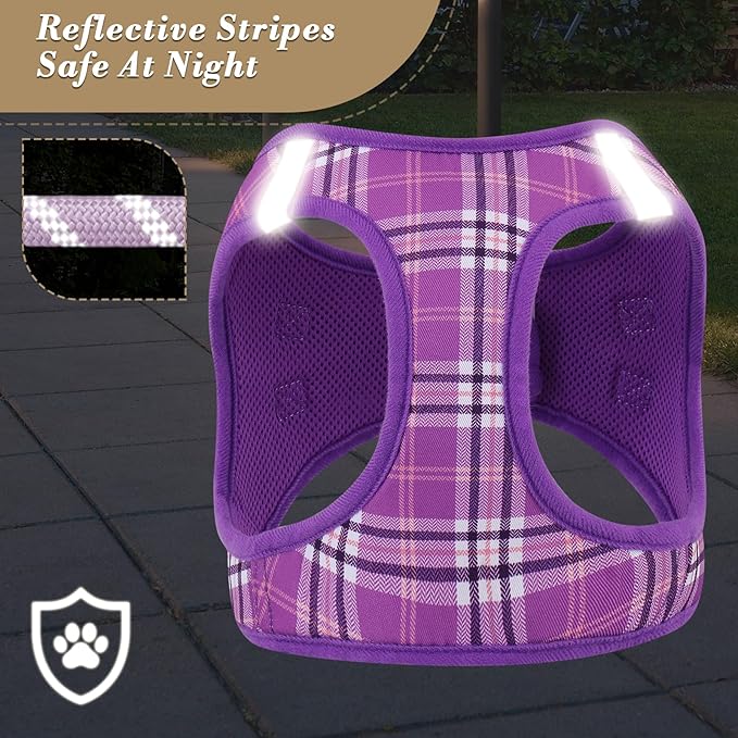 Athena Collection Step-in Dog Harness with 5 ft Leash, Large Dog Harness Leash Set Large No Pull Dog Vest Harness with Reflective Strips Adjustable Velcro, Easy Walk Dog Harness, Purple