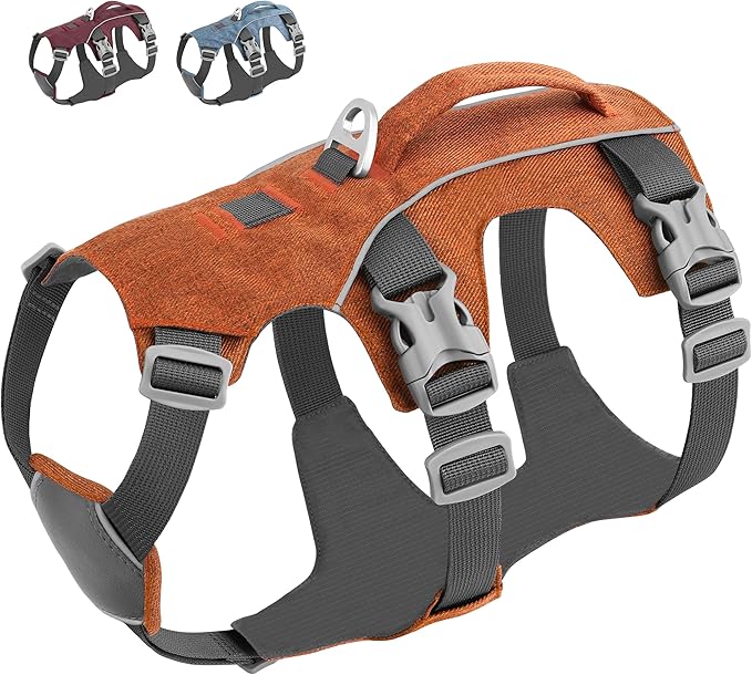 Dog Harness Medium Sized Dog Escape Proof Dog Harness with Handle, Reflective Dog Vest, Breathable Soft Full Body Pet Harness for Walking, Training (Orange, M)