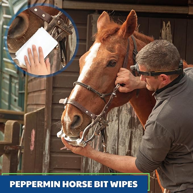 3 Pack Horse Bit Wipes 120 Pcs Peppermint Horse Bit Cleaners for Happy Horse Disposable Cleaning Wipes for English or Western Bits