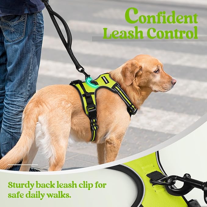 rabbitgoo Dog Harness, No-Pull Pet Harness with 2 Leash Clips, Adjustable Soft Padded Dog Vest, Reflective No-Choke Pet Oxford Vest with Easy Control Handle for Medium Dogs, Wild Lime, M