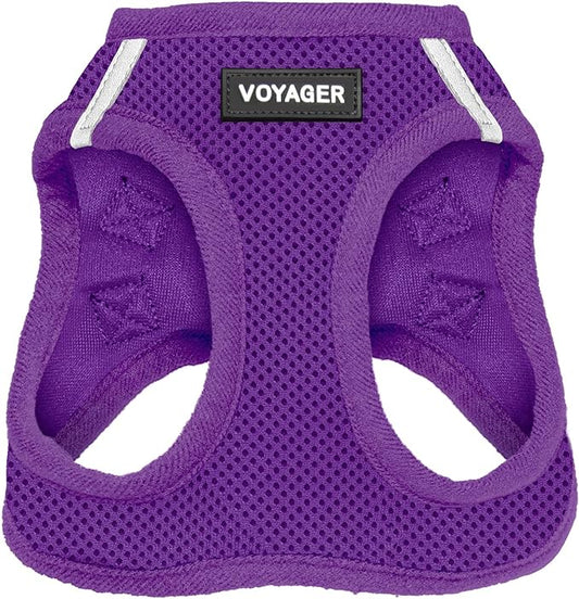 Voyager Step-in Air Dog Harness - All Weather Mesh, Reflective, No Pull Harness for Small, Medium Dogs, Cats - Secure with Hook & Loop Fastener, Buckle, Double D-Rings - Purple, XXS